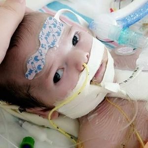 Meet your Posher, Clay